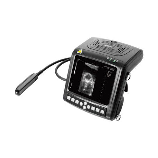 KX5200V Vet Ultrasound #