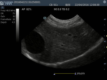iuStar 100Vet B&W Ultrasound #