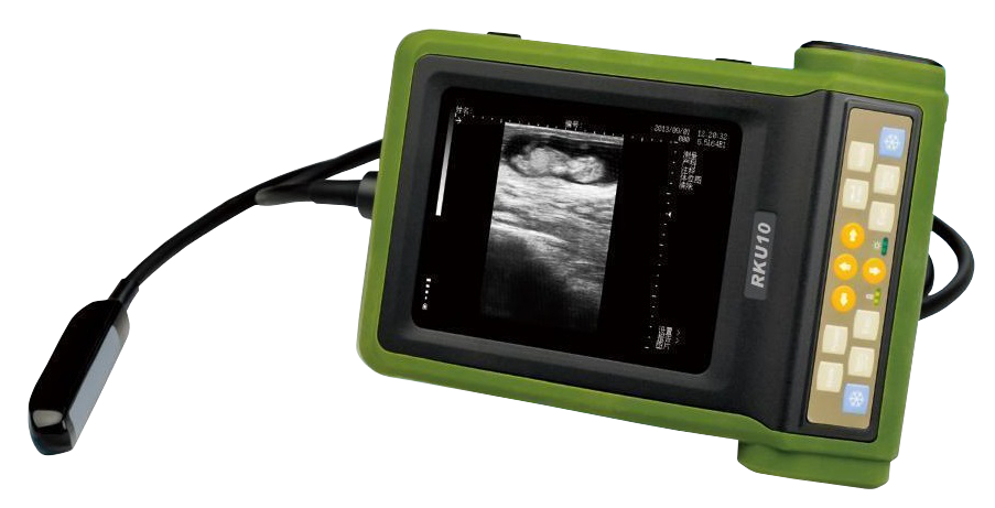 RKU-10V Portable Vet Ultrasound #