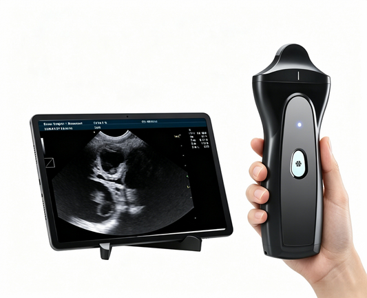 GHM-VPAU1D Reptile Ultrasound | Wireless Handheld System for Cold‑Blooded Animals