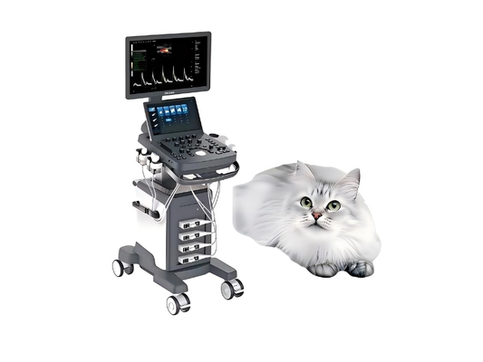VU60 Veterinary Color Doppler Ultrasound System #