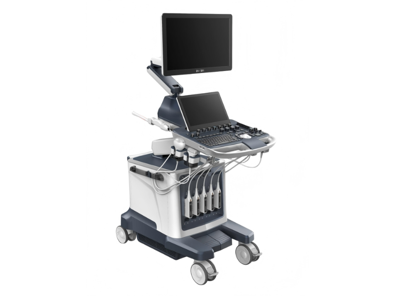 ViV 80 Color Doppler Ultrasound System