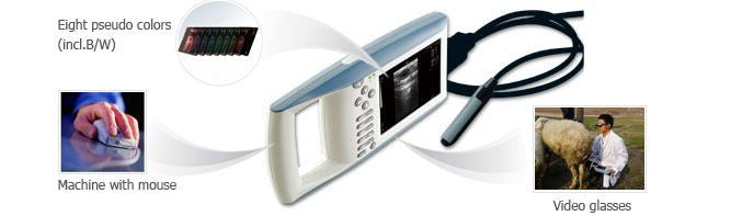 KX5100V Vet Ultrasound #
