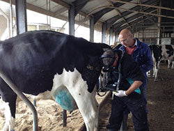 RKU-10V Portable Vet Ultrasound #